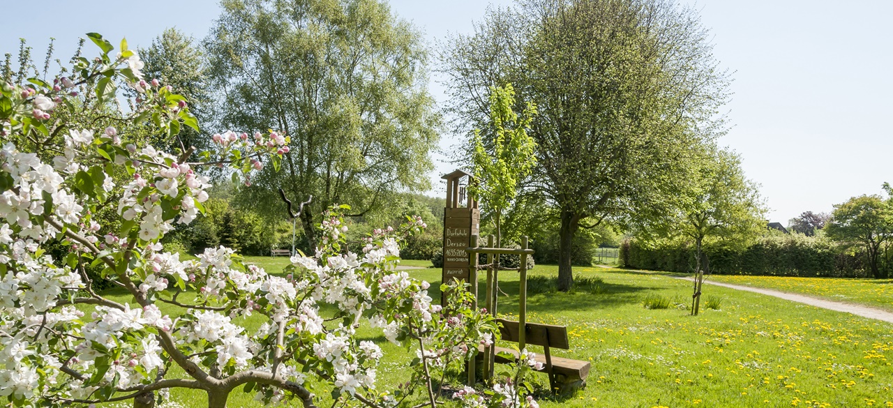 Gemeinde Dersau Infos und Termine zu unserer Gemeinde