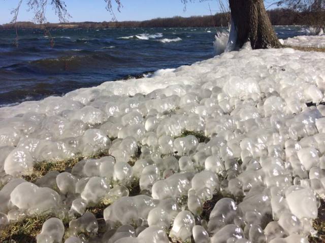 Eiskugeln garnieren eine Uferstelle am Plöner See in Dersau.