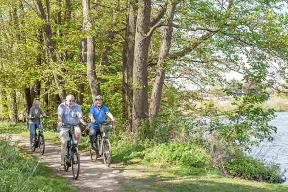 3 Radfahrer befahren im Frühlingdgrün den Wanderweg am Plöber See in Dersau